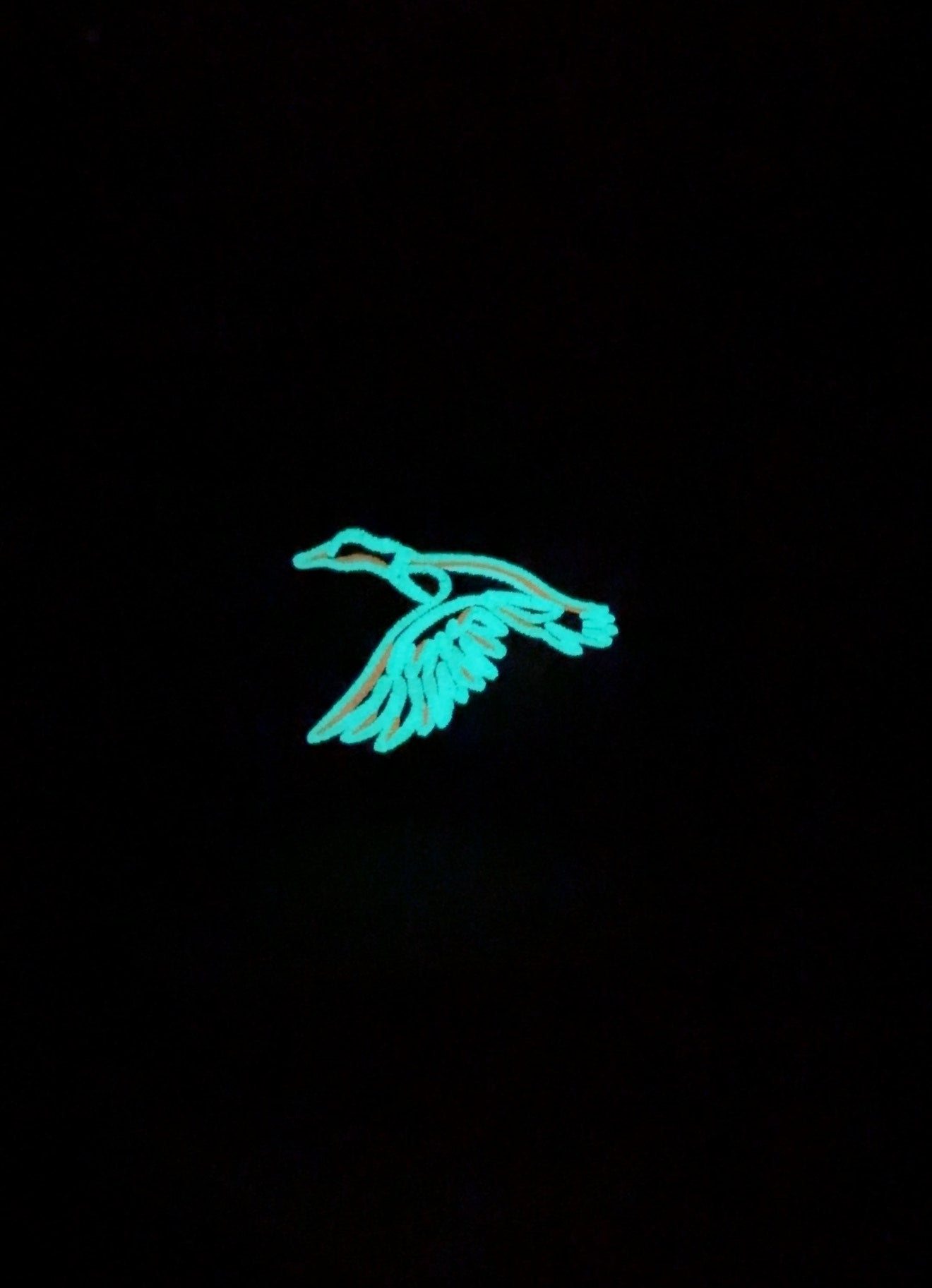Glow in the dark - Neon Duck - Snapback