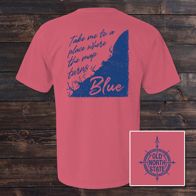 The Old North State - Map Turns Blue SC