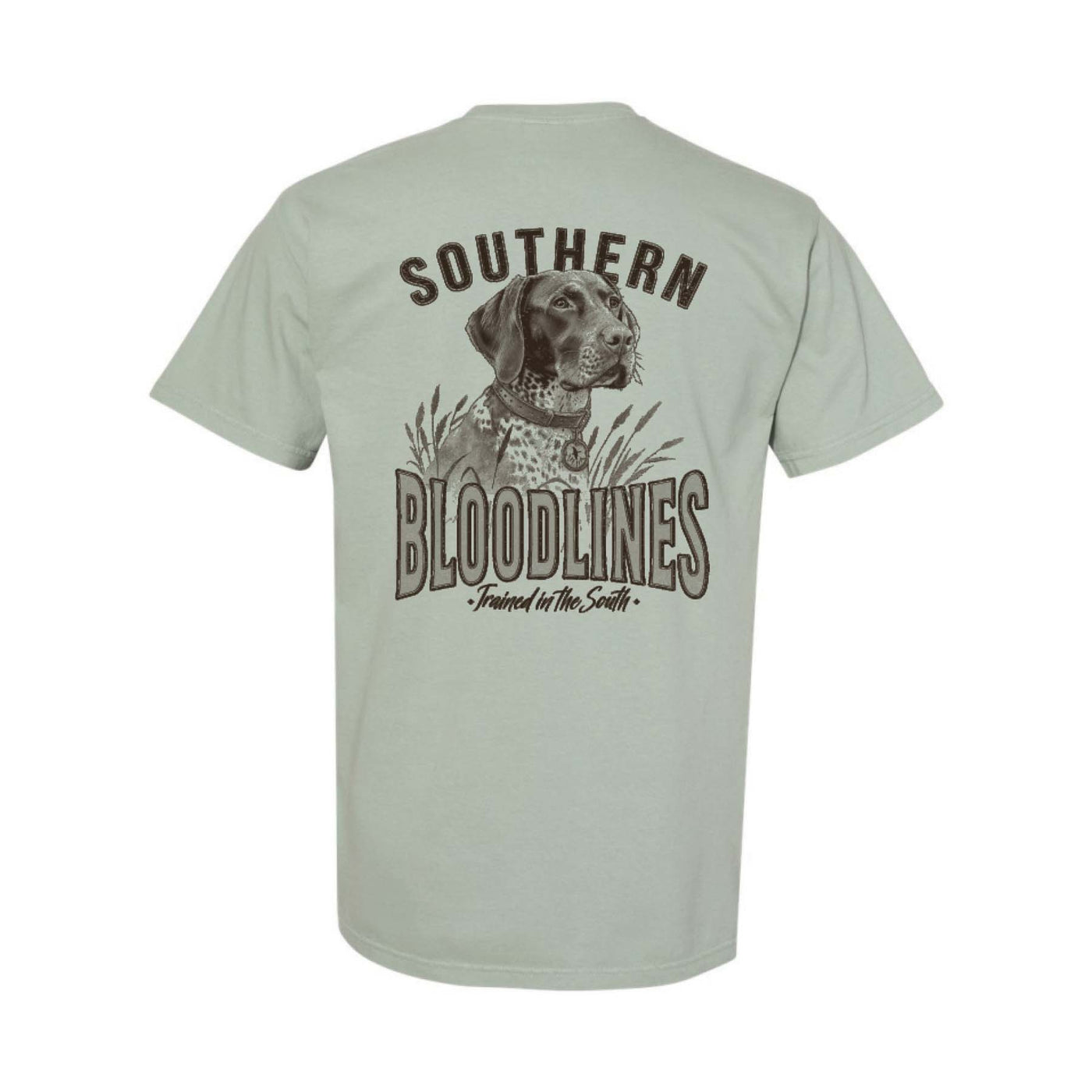 Southern Bloodlines Field Pointer Bay